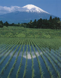 �y�G�[�XJTB�E�������s�z�R���c�A�[�E�R���̗��فE�z�e���\��